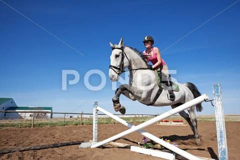Show jumper Stock Photos