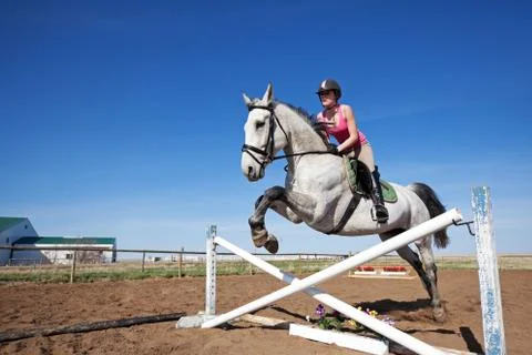 Show jumper Stock Photos