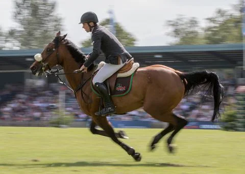 Show Jumping - 2015 The Equestrian.Com, Hickstead Derby Meeting, Stock Photos
