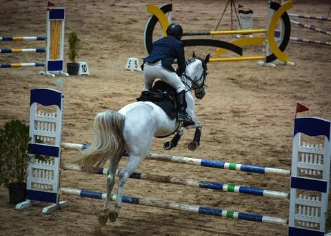 Show Jumping Competition in Erbil Stock Photos