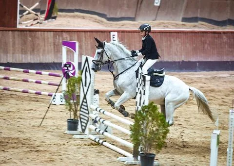 Show Jumping Competition in Erbil Stock Photos