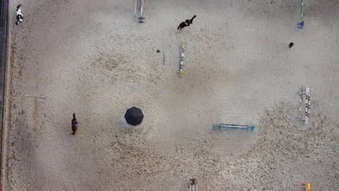 Show jumping Stock Footage 164685816