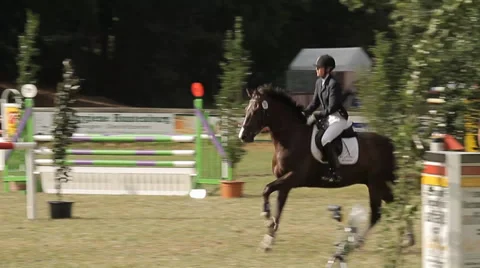 Show jumping with horses Stock Footage 36490570