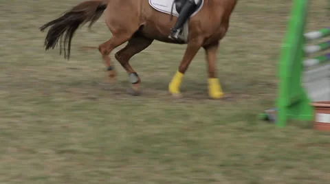 Show jumping with horses Stock Footage 36491422