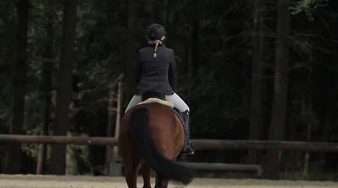 Show jumping with horses Stock Footage 36491836