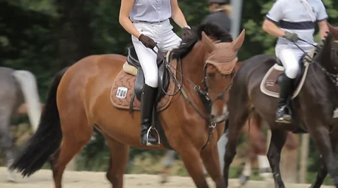 Show jumping with horses Stock Footage 36491951