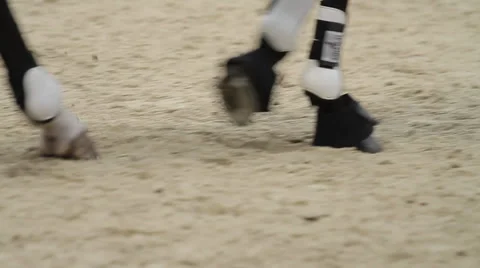 Show jumping with horses Stock Footage 36492062