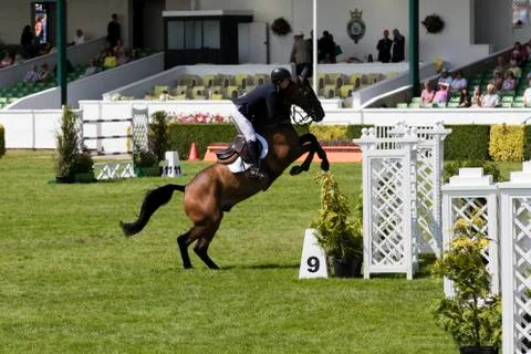 Show Jumping Stock Photos