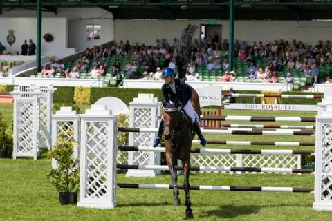 Show Jumping Stock Photos
