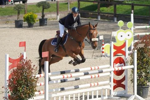 Show jumping race Stock Photos