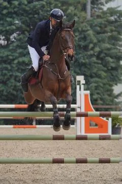 Show jumping race Stock Photos