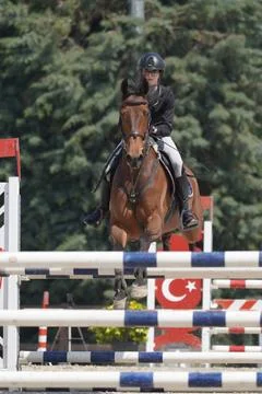 Show jumping race Stock Photos