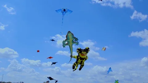 Show of kites Stock Footage 83427687
