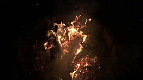 Show motion shooting of a campfire at night. Stock Footage 164072156