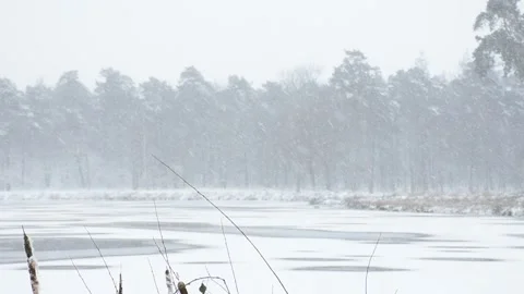 Show storm at the forest lake Stock Footage 148119616