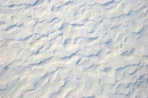 Show texture Stock Photos