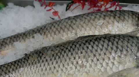 Showcase with chilled fresh fish Stock Footage 67980791