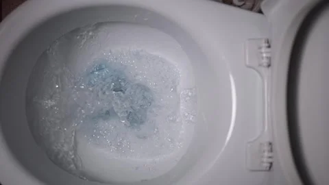 Showcase the ease of keeping your bathroom fresh and clean with straightforward Vidéo 268741946