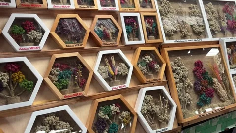 Showcase of Edelweiss Merapi souvenirs. Stock Footage 309936808
