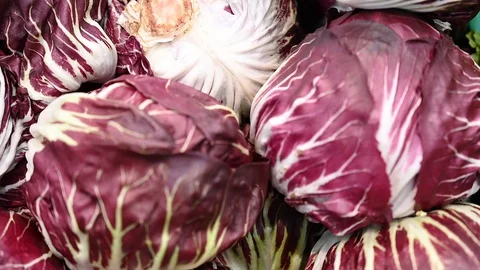 Showcase With fresh organic zero-carbon radicchio  On The Street Market in italy 動画素材 104261915