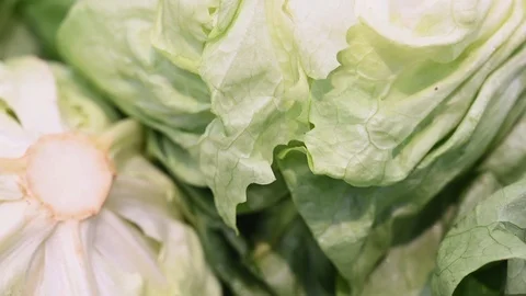 Showcase With fresh organic zero-carbon lettuce  On The Street Market in italy Stock Footage 104262168