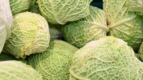 Showcase With fresh organic zero-carbon green cabbage   Stock Footage 104262236