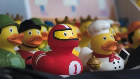 A showcase full of rubber ducks. Stock Photos