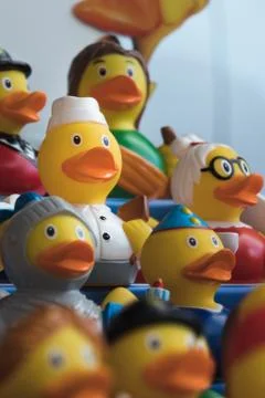 A showcase full of rubber ducks. Stock Photos