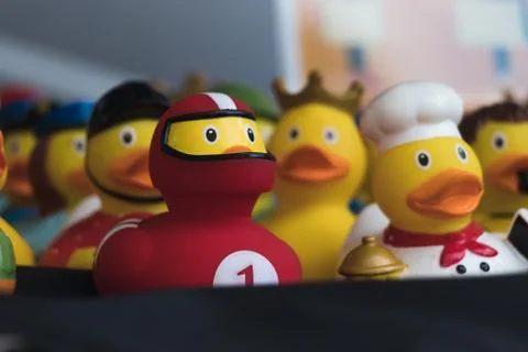 A showcase full of rubber ducks. Stock Photos