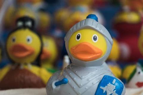 A showcase full of rubber ducks. Stock Photos