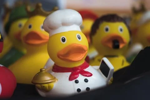 A showcase full of rubber ducks. Stock Photos