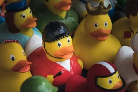 A showcase full of rubber ducks. Stock Photos