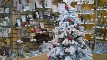 Showcase gift store Stock Footage 85705088