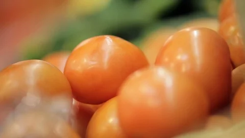 Showcase with lots of tomatoes Video stock 100270672