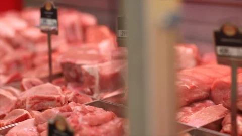 Showcase meat raw products Stock Footage 105080372