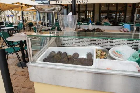 Showcase with seafood. Stock Photos