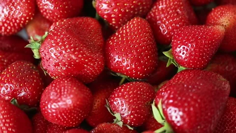 Showcase with strawberries Stock Footage 156458421
