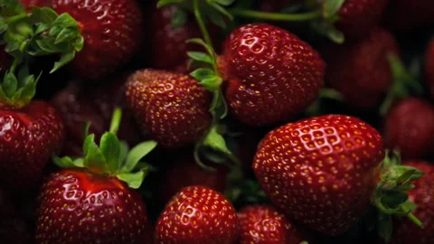 Showcasing fresh fruit red strawberries lie on a table green leaves visible Stock Footage 340788210
