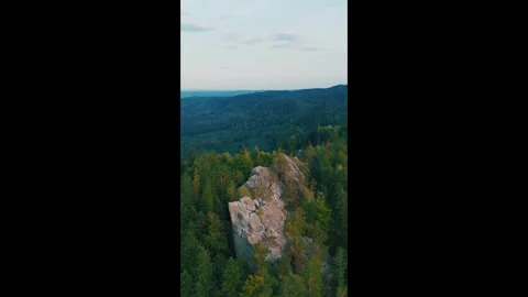 Showcasing god`s creation Video stock 317262663