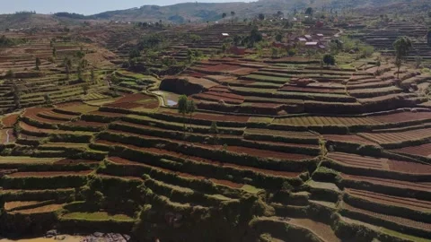 Showcasing the stunning terraced fields of Madagascar from above, highlighting Video stock 308398919