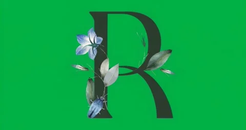 Showcasing uppercase R featuring gray botanical elements resting static on Stock Footage 317212836