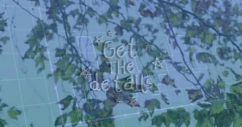 Showcasing white script text floating over tree canopy with blue grid overlay Stock Photos