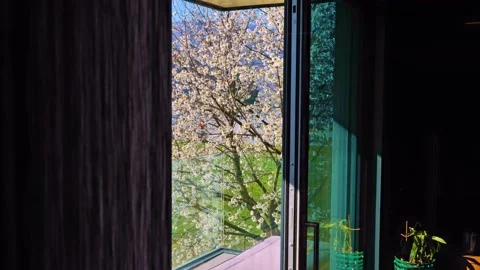 Shower in Bathroom with Window View over a Cherry Tree Vídeos de archivo 191942910