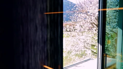 Shower in Bathroom with Window View over a Cherry Tree with Flowers Stock Footage 194012583
