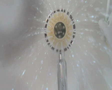 Shower into Camera PAL Stock Footage 8961843