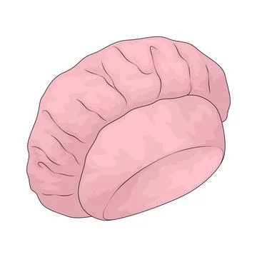 Shower Cap illustration Stock Illustration