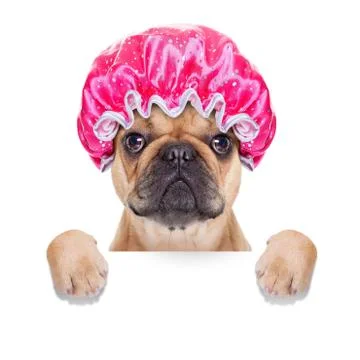 Shower cap Stock Photos