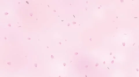 Shower of cherry blossoms on pink gradient background Stock Illustration