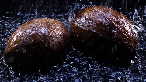 Shower for couple of coconuts, laying in shallow water on black background Video stock 78353600
