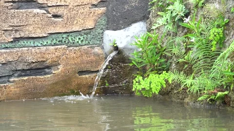 Shower in the fish pond Stock Footage 282244843